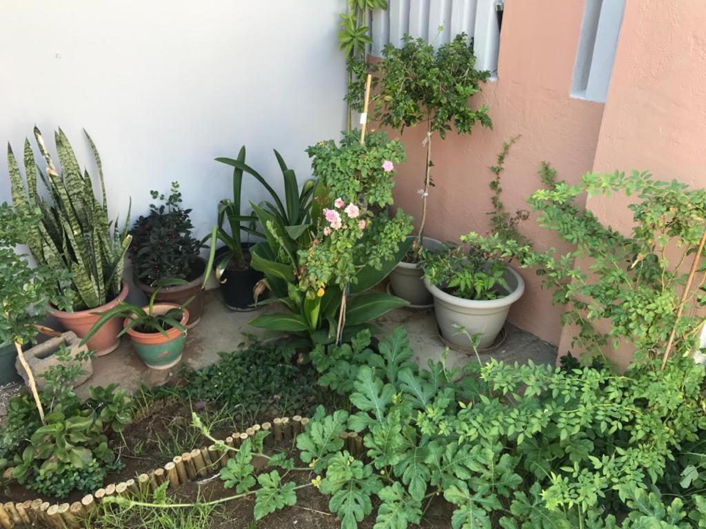 Urbanlife Keetmanshoop Accommodation Екстериор снимка